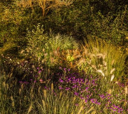 Lichtquellen machen den Garten schöner!