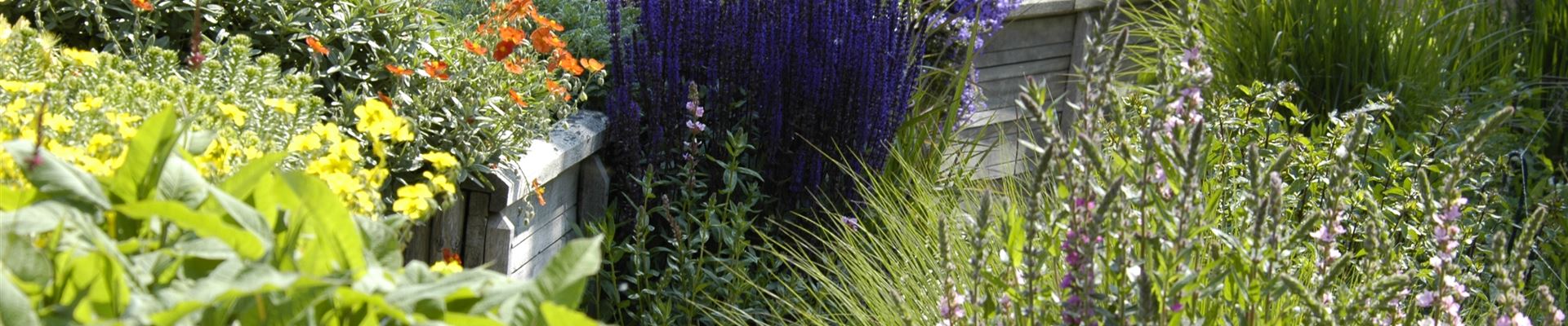 GS619931.jpg GS619931.jpg