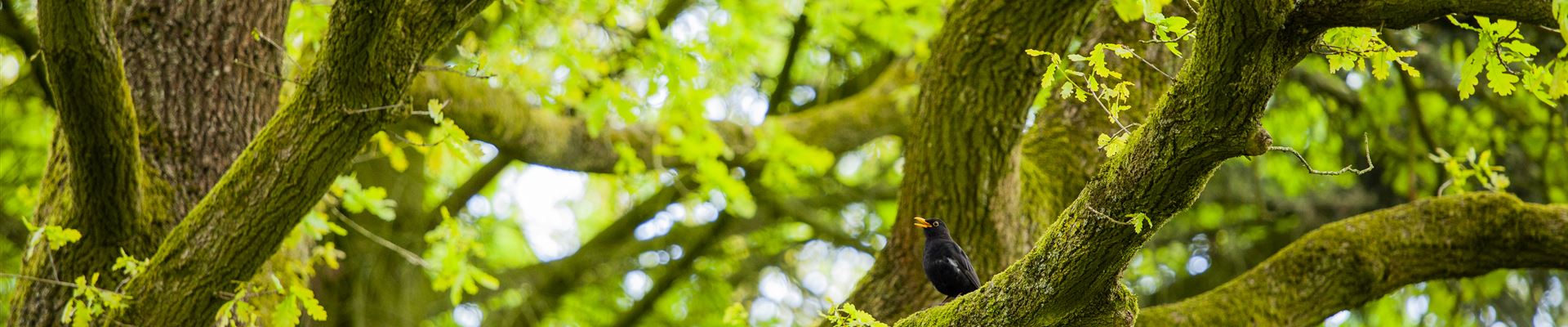 GS600446.jpg GS600446.jpg