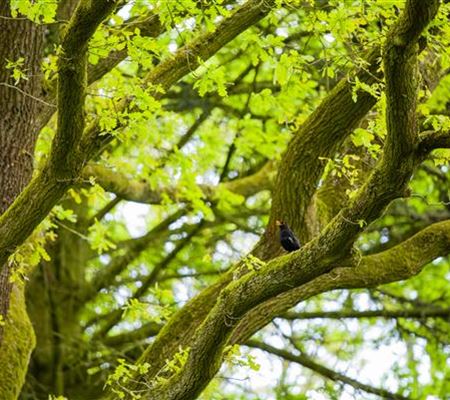 Schattenplätze schaffen Schattenplätze schaffen