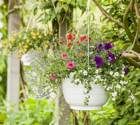 Urlaub auf Balkonien – Grüne Oasen auf dem Balkon Urlaub auf Balkonien – Grüne Oasen auf dem Balkon
