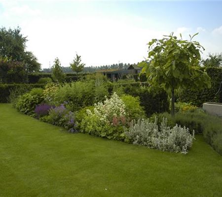 Wasser für den Rasen – Bewässerungssysteme und Tipps