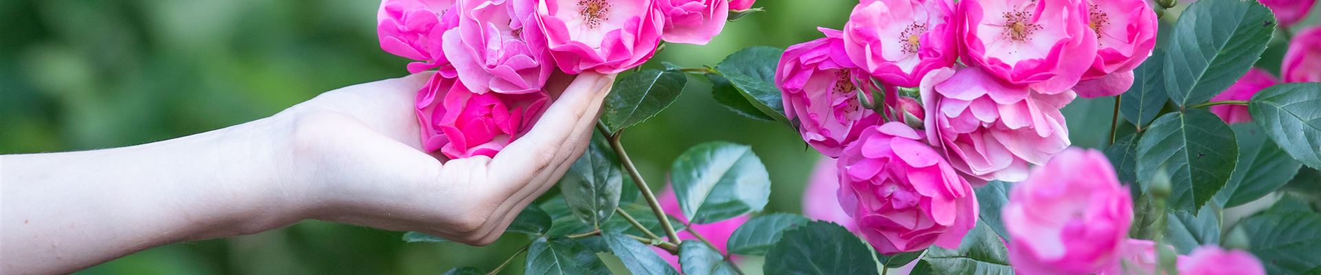 GS621201.jpg GS621201.jpg