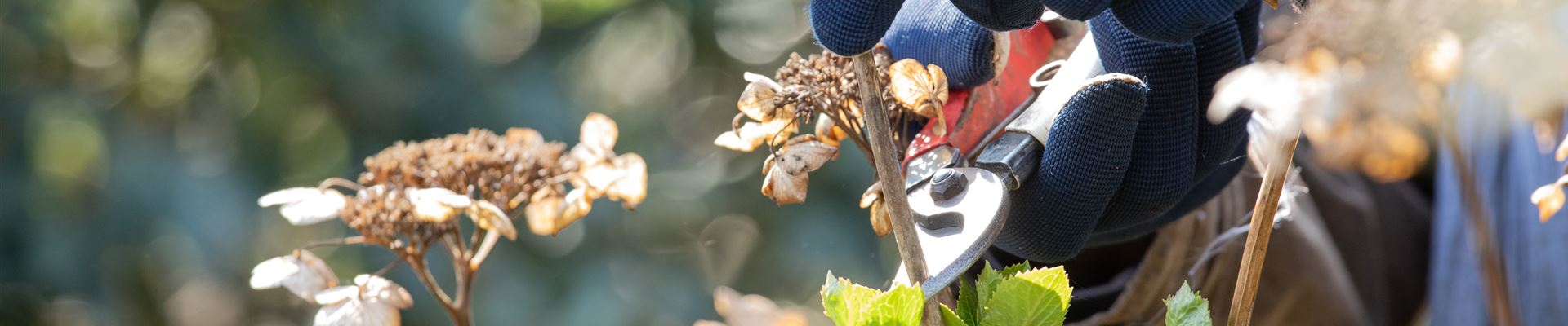 GS620133.jpg GS620133.jpg