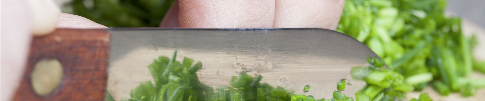 GS512316.jpg GS512316.jpg