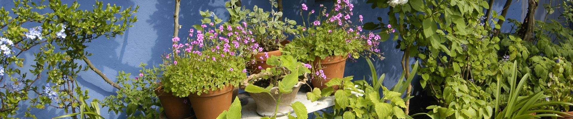 GS620398.jpg GS620398.jpg