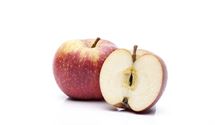 Malus 'Boskoop'