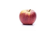 Malus 'Boskoop'