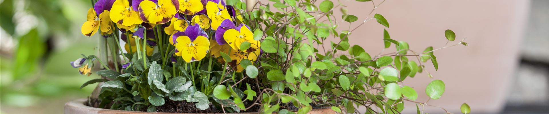 GS472371.jpg GS472371.jpg