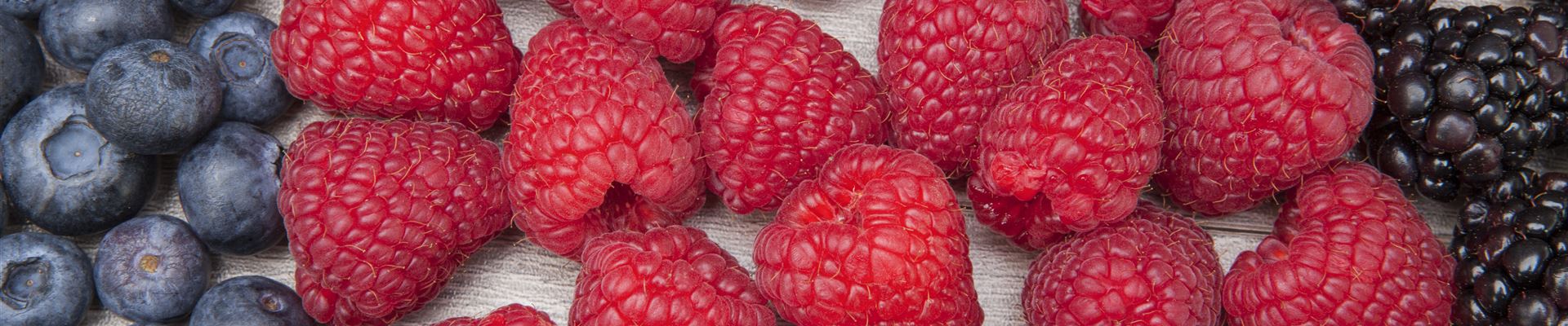 GS510183.jpg GS510183.jpg