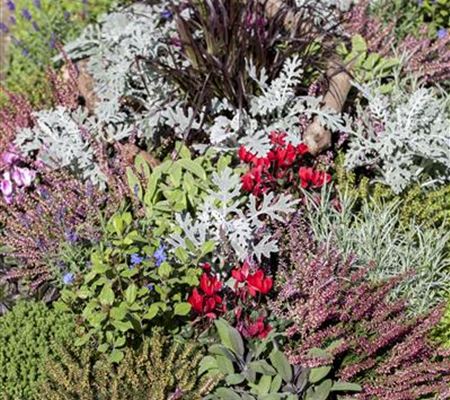 Die Grabpflege im Herbst Die Grabpflege im Herbst