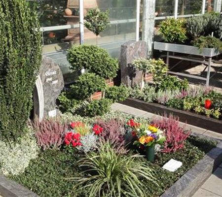 Doppelgrab - Grabbepflanzung im Herbst Doppelgrab - Grabbepflanzung im Herbst