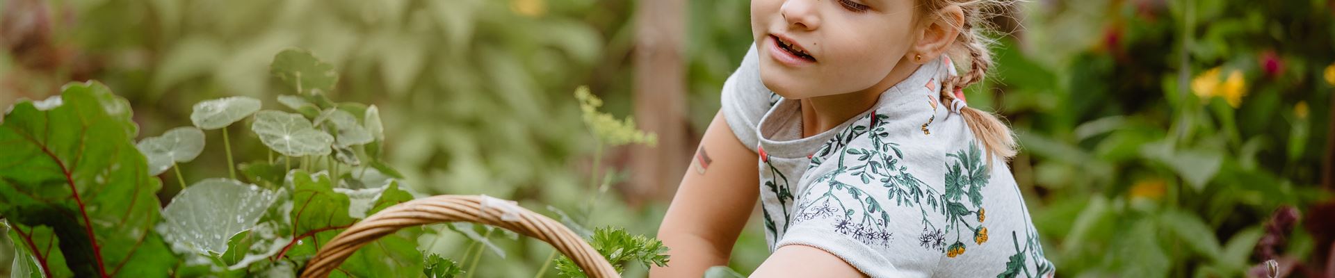 GS548758.jpg GS548758.jpg