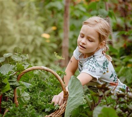 Jetzt kann geerntet werden! Kinder spielerisch einbeziehen Jetzt kann geerntet werden! Kinder spielerisch einbeziehen