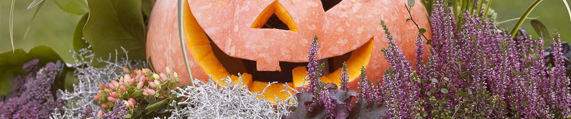 GS503169.jpg GS503169.jpg