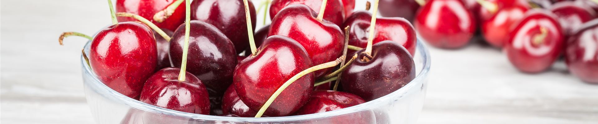 GS528531.jpg GS528531.jpg