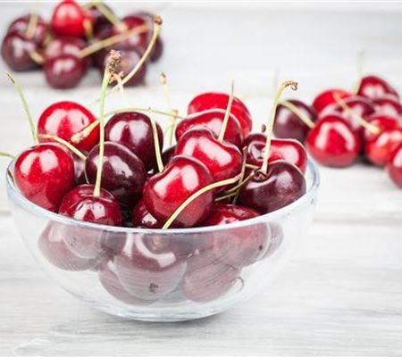 Die Früchte des Gartens gut verarbeiten Die Früchte des Gartens gut verarbeiten