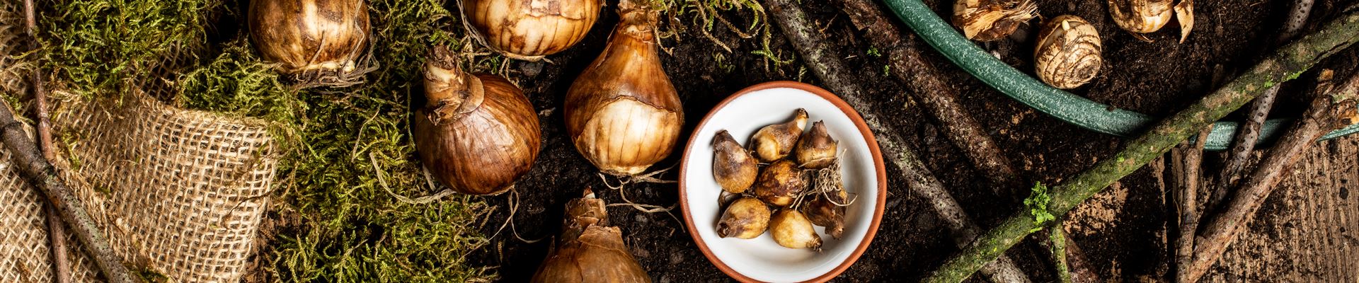 GS636746.jpg GS636746.jpg