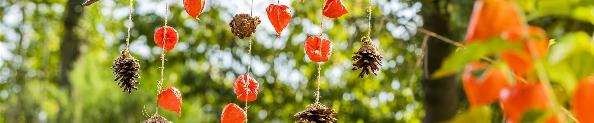 GS590691.jpg GS590691.jpg