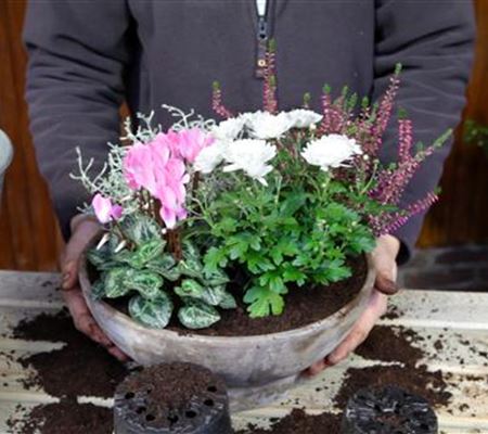 Blumenkübel - Herbstliche Bepflanzung Blumenkübel - Herbstliche Bepflanzung