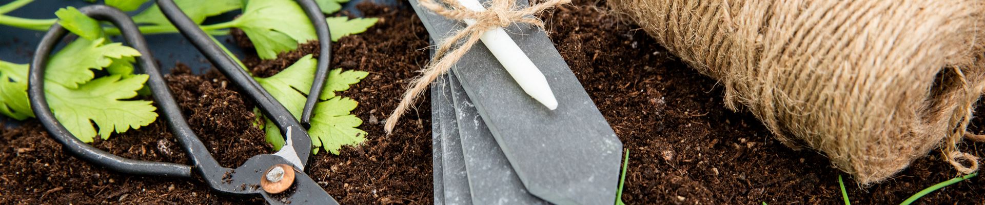 GS661962.jpg GS661962.jpg