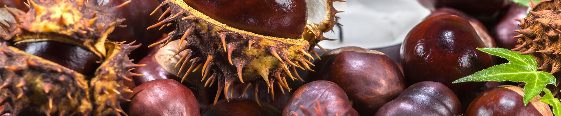 GS506688.jpg GS506688.jpg