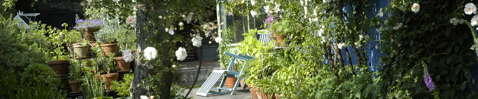 GS620405.jpg GS620405.jpg