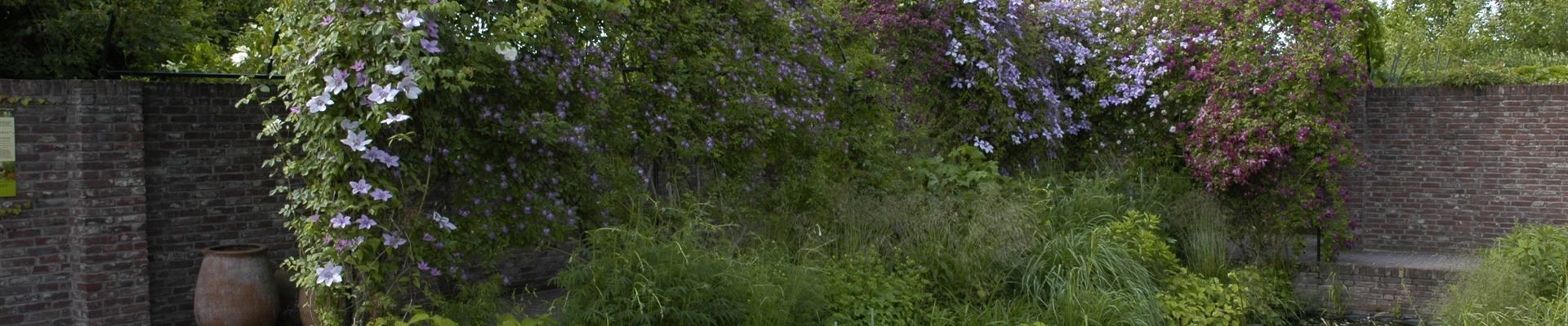 GS620439.jpg GS620439.jpg