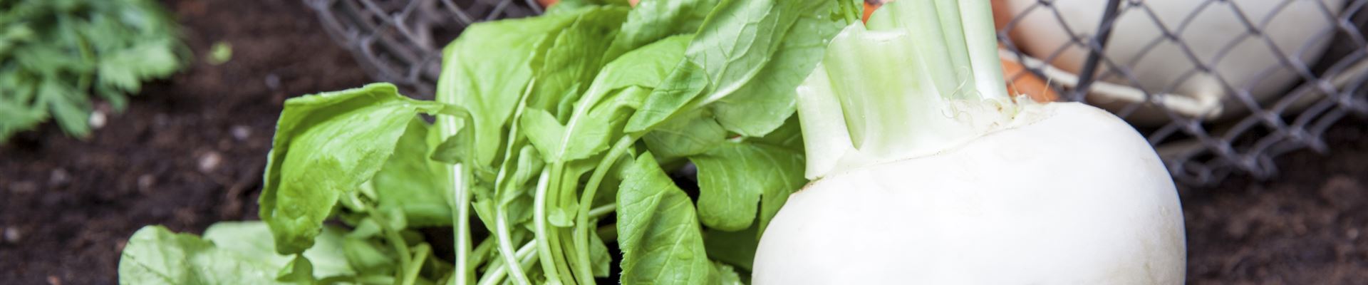 GS457324.jpg GS457324.jpg