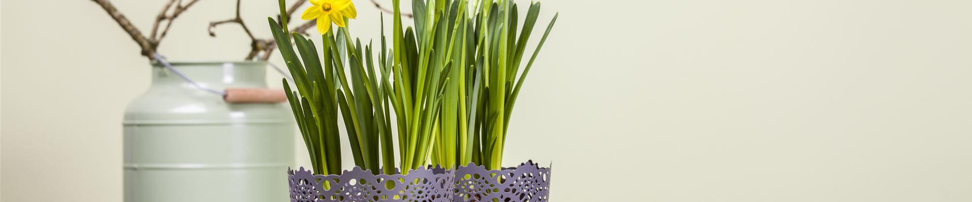 GS469978.jpg GS469978.jpg