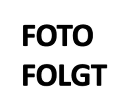 Allium amethystinum 'Red Mohican'