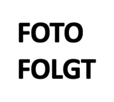 Allium schoenoprasum 'Forescate' Allium schoenoprasum 'Forescate'