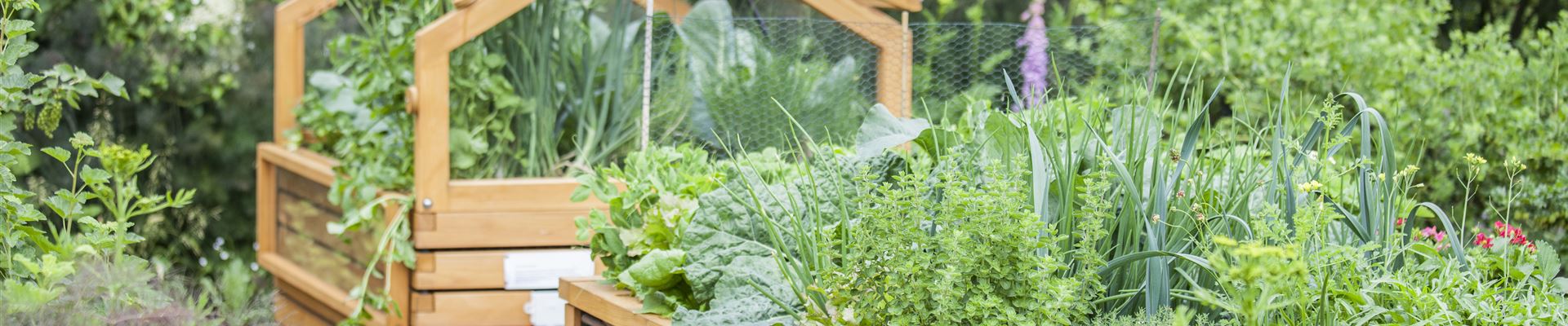 GS497860.jpg GS497860.jpg