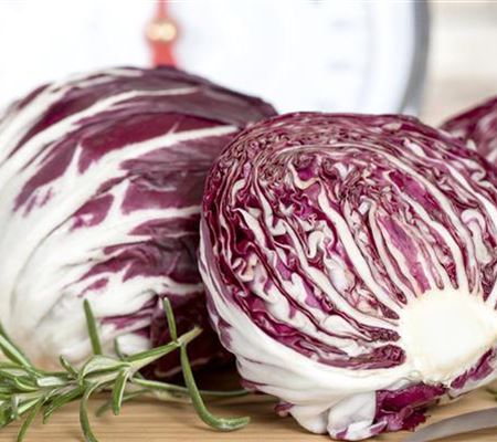 Herbstsalate: Frische aus dem eigenen Garten Herbstsalate: Frische aus dem eigenen Garten