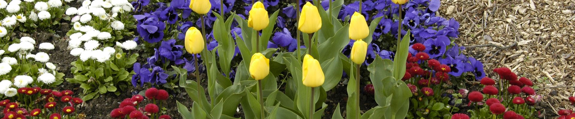 GS635956.jpg GS635956.jpg