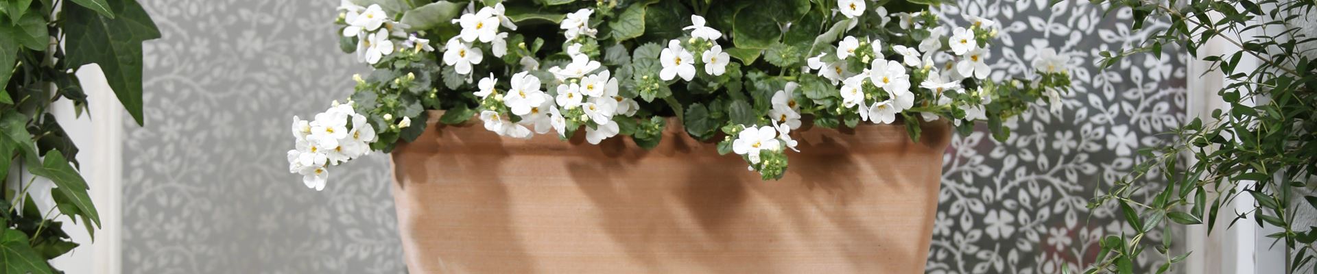 GS477872.jpg GS477872.jpg