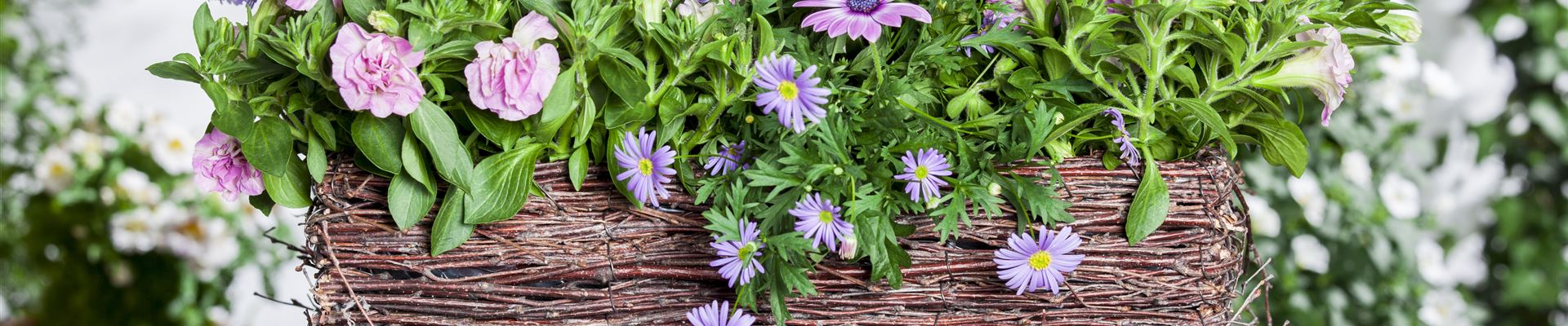 GS477998.jpg GS477998.jpg