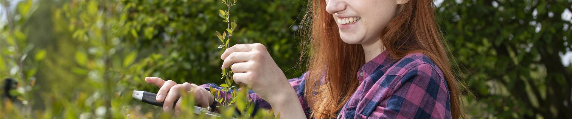 GS619547.jpg GS619547.jpg