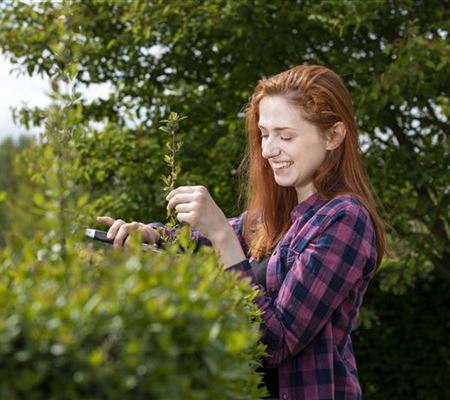 Diese Arbeiten sind jetzt im Garten noch nötig Diese Arbeiten sind jetzt im Garten noch nötig