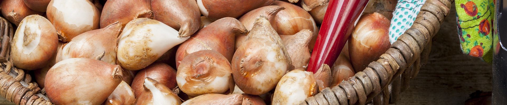 GS504654.jpg GS504654.jpg