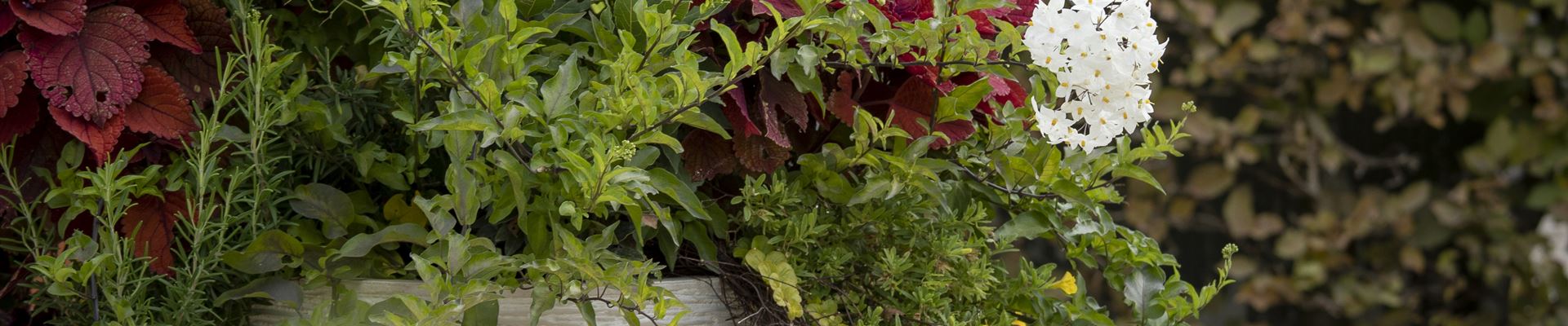 GS588939.jpg GS588939.jpg