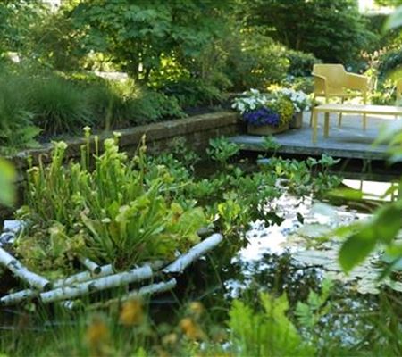 Gartengestaltung - Waldgarten Gartengestaltung - Waldgarten