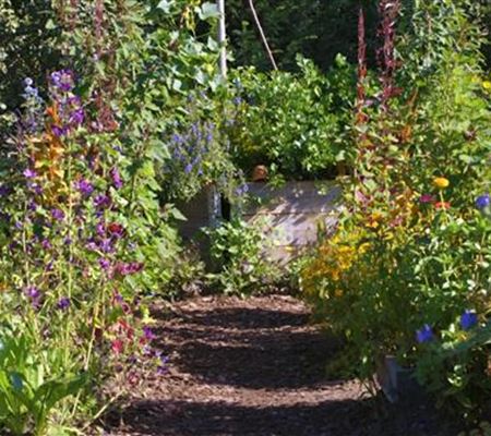 Gartengestaltung - Bauerngarten Gartengestaltung - Bauerngarten