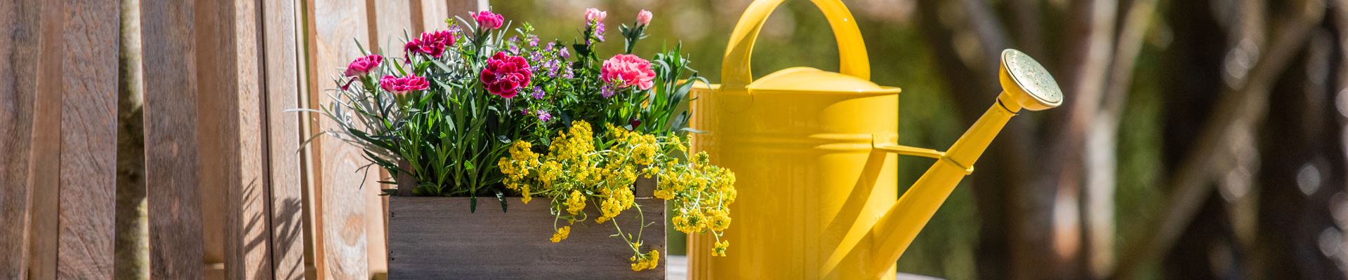 GS712649.jpg GS712649.jpg