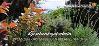Individueller Online-Gutschein