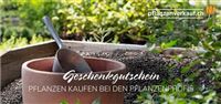 Individueller Online-Gutschein