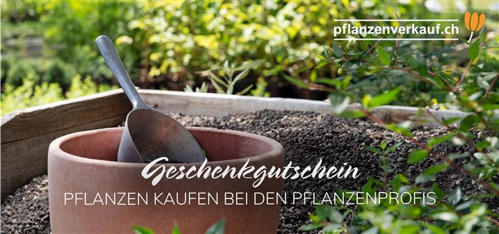 zum Selbstausdrucken