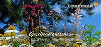 Individueller Online-Gutschein
