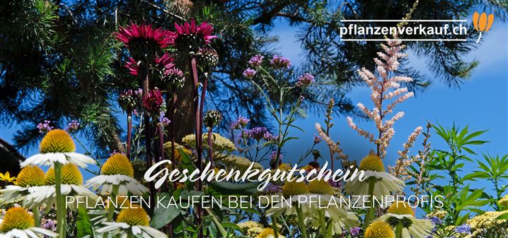 zum Selbstausdrucken