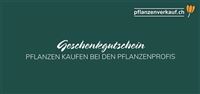 Individueller Online-Gutschein